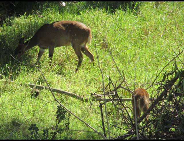 LAND FOR SALE IN DANA BAY